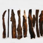 Zak grote Buffelpensstaven